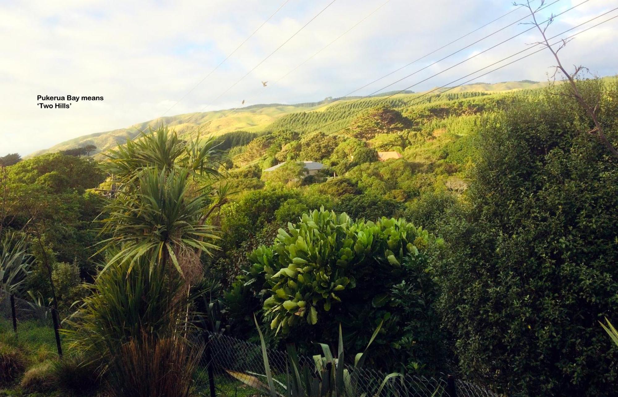Peaceful Pukerua Bay Apartment Luaran gambar